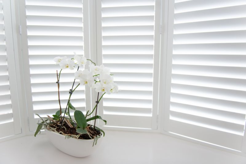 Exterior Shutters Installation in Denver County, CO